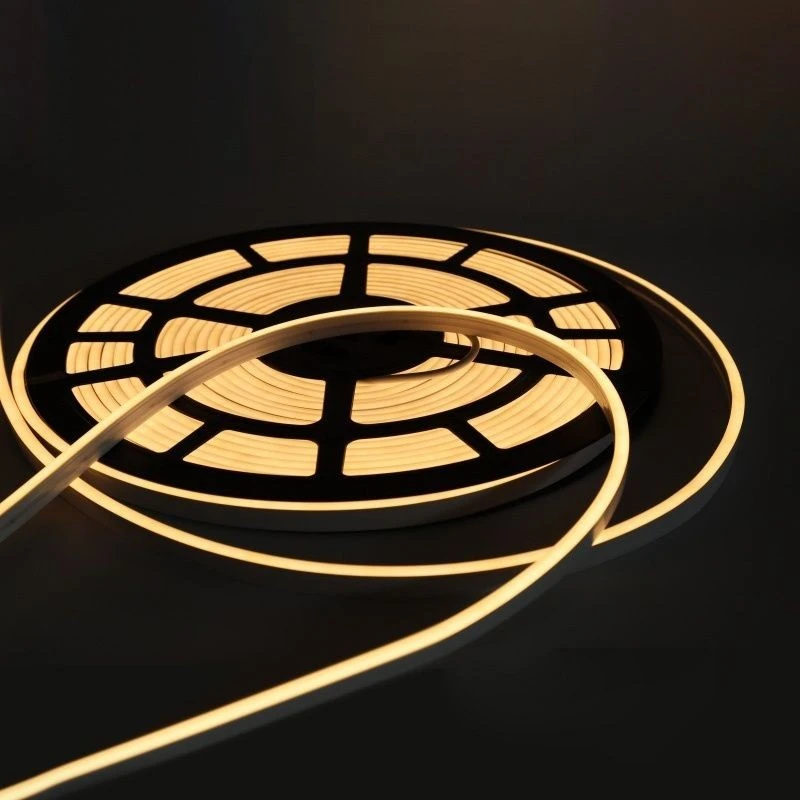 RGBW LED neon strip (1)(001)